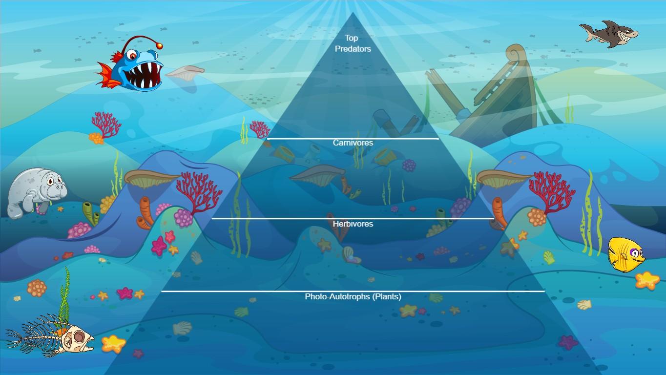 Ocean Ecological Pyramid