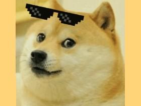 DOGE   1