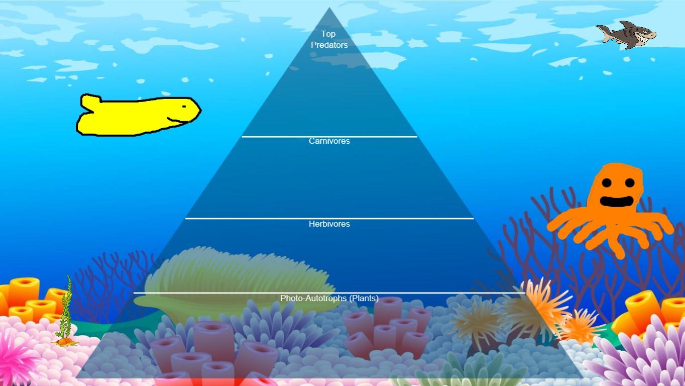 Ocean Ecological Pyramid