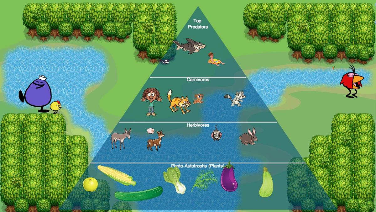 Ocean Ecological Pyramid