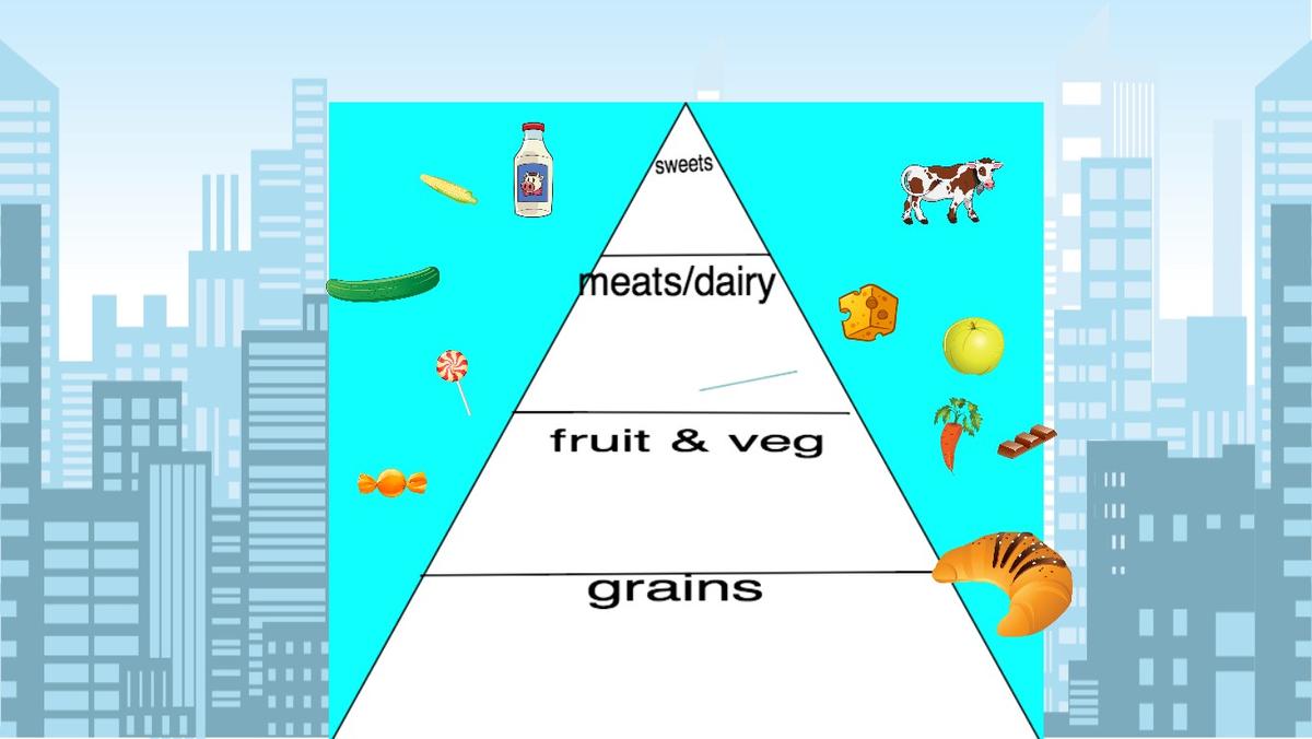 Ocean Ecological Pyramid