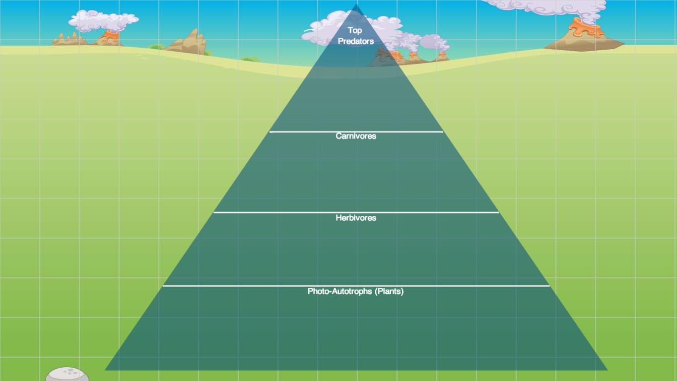 Ocean Ecological Pyramid