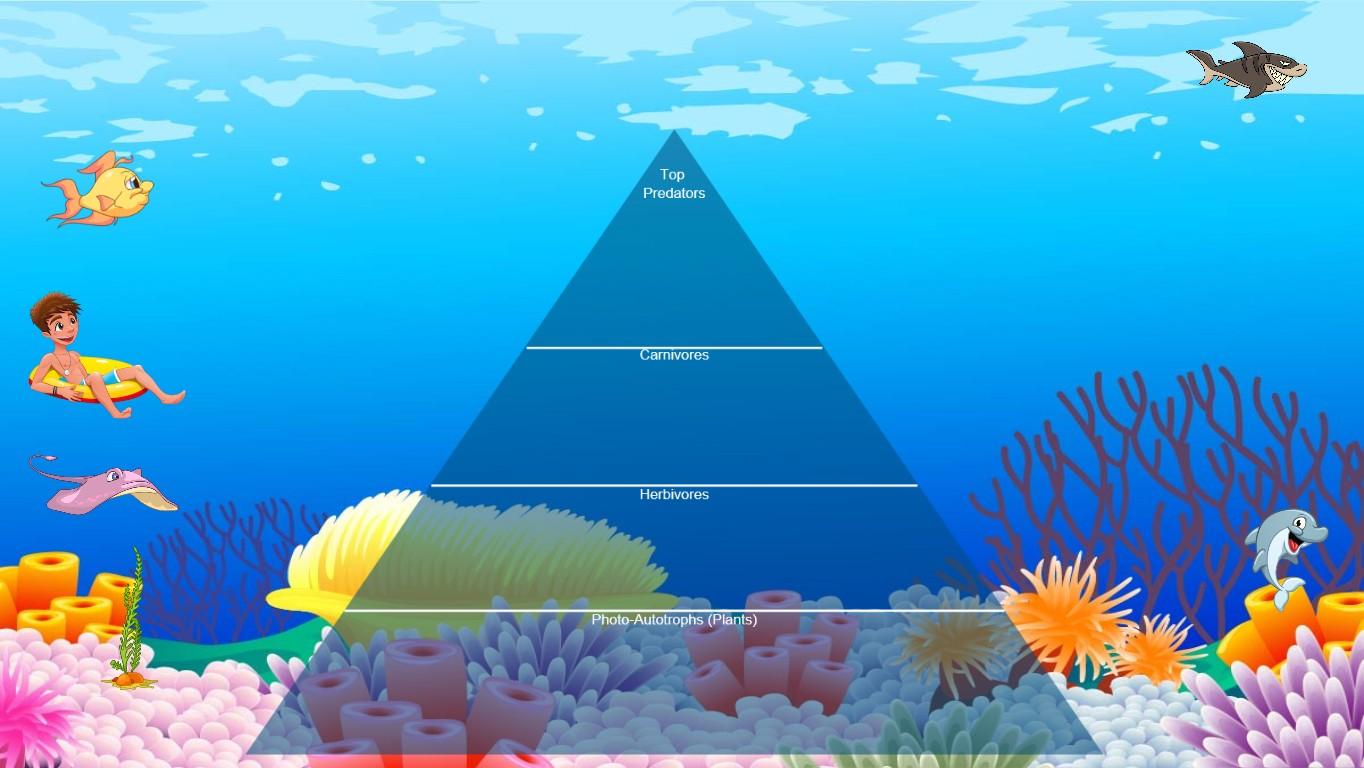 Ocean Ecological Pyramid