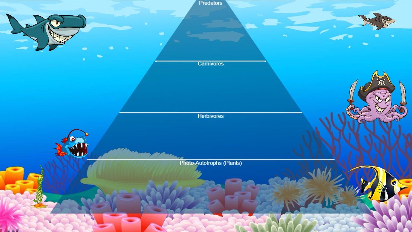 Ocean Ecological Pyramid