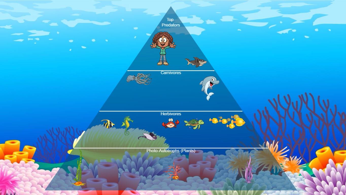 Ocean Ecological Pyramid