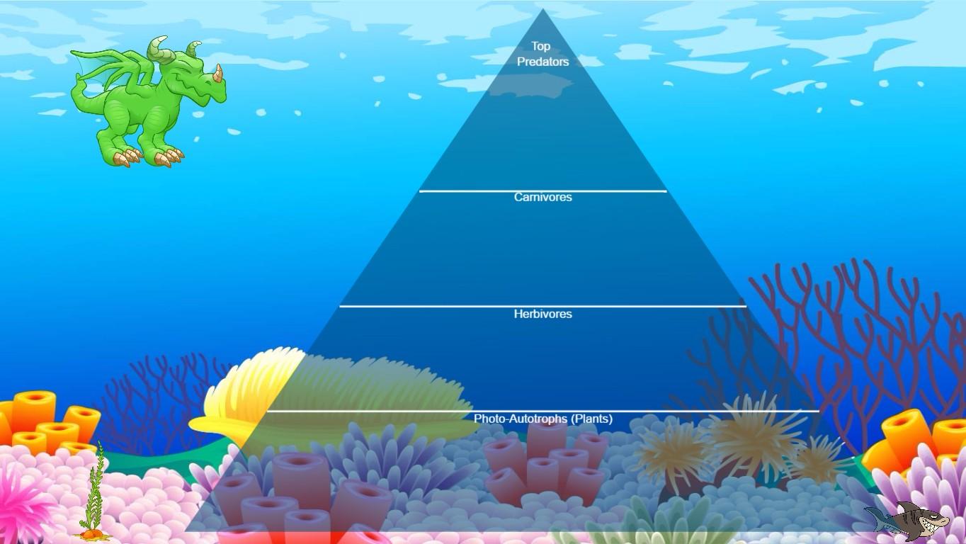 Ocean Ecological Pyramid