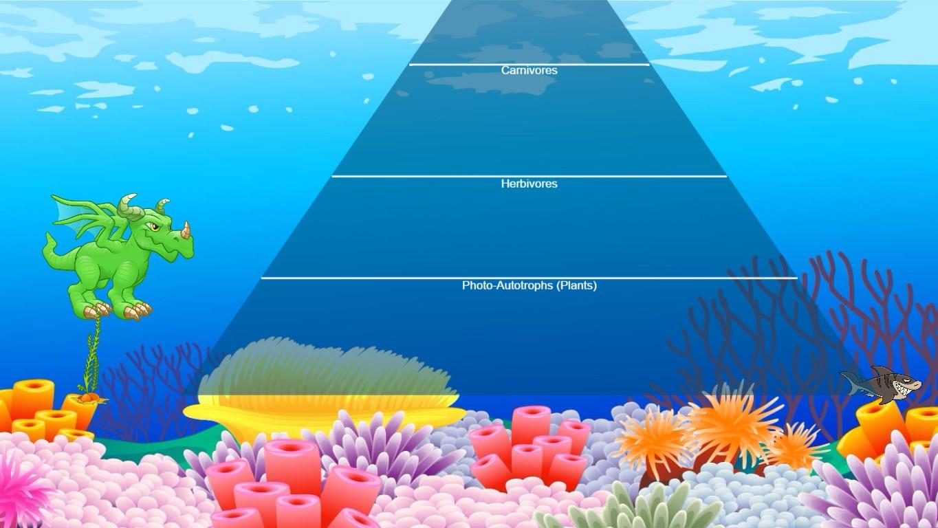 Ocean Ecological Pyramid