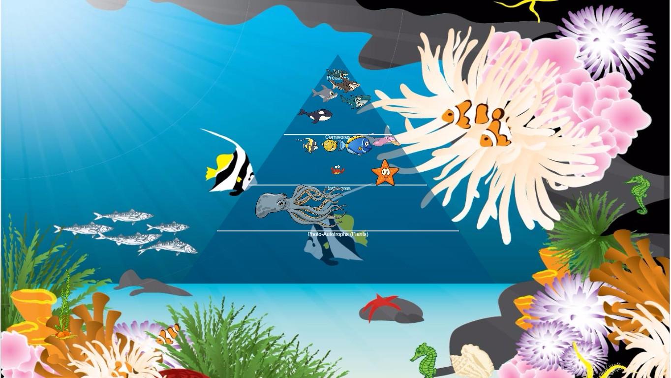 Ocean Ecological Pyramid