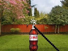 mentos in coke  1