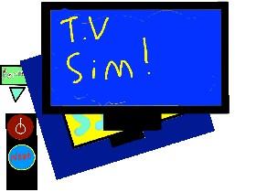 T.V Simulator! 1