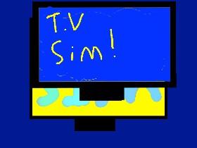 T.V Simulator! 1