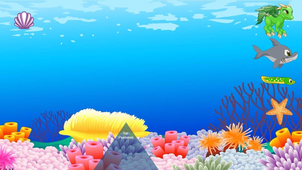 Ocean Ecological Pyramid