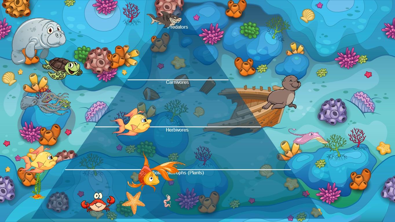 Ocean Ecological Pyramid