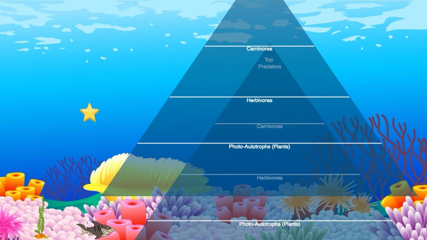 Ocean Ecological Pyramid