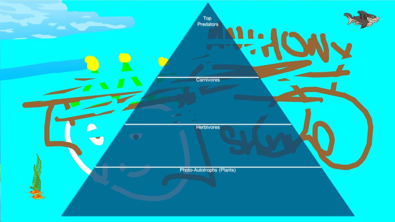 Ocean Ecological Pyramid