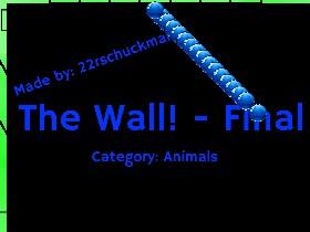 The Wall - Final 2