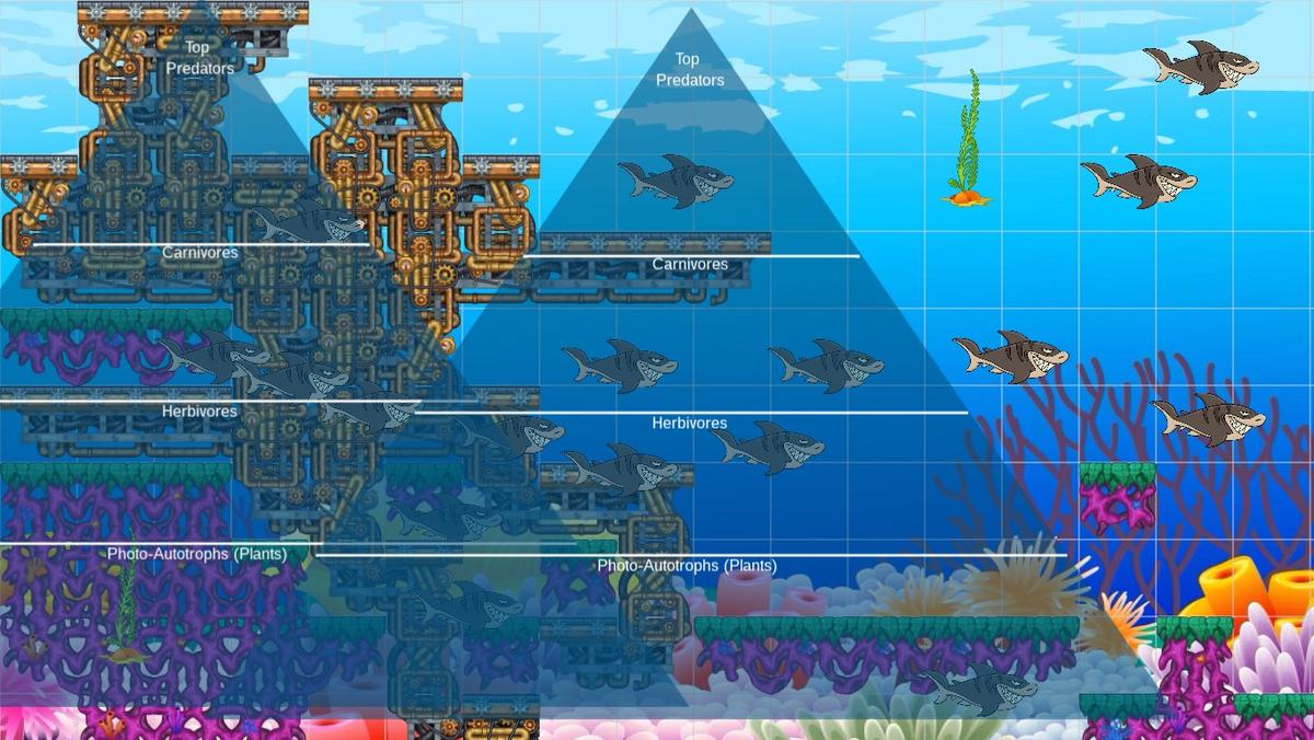 Ocean Ecological Pyramid