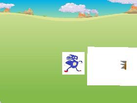 SANIC 1