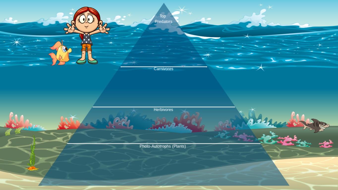 Ocean Ecological Pyramid