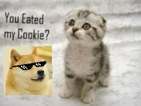 Doge Is So Mean!!!!