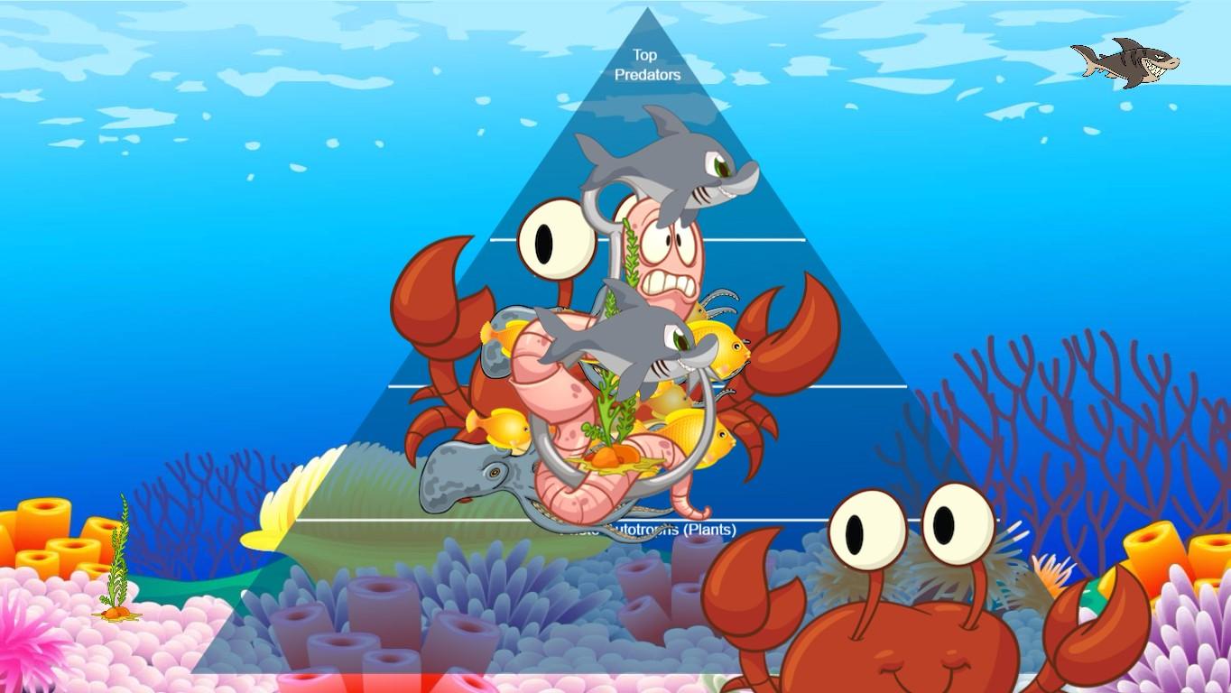 Ocean Ecological Pyramid