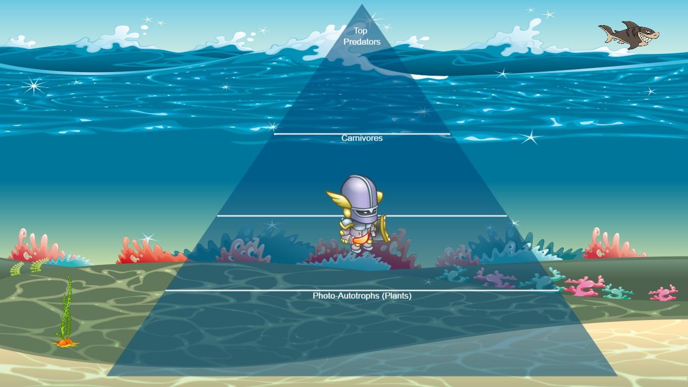 Ocean Ecological Pyramid