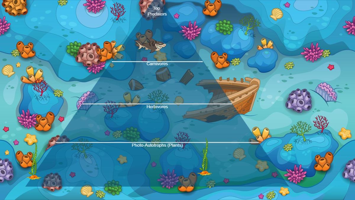 Ocean Ecological Pyramid