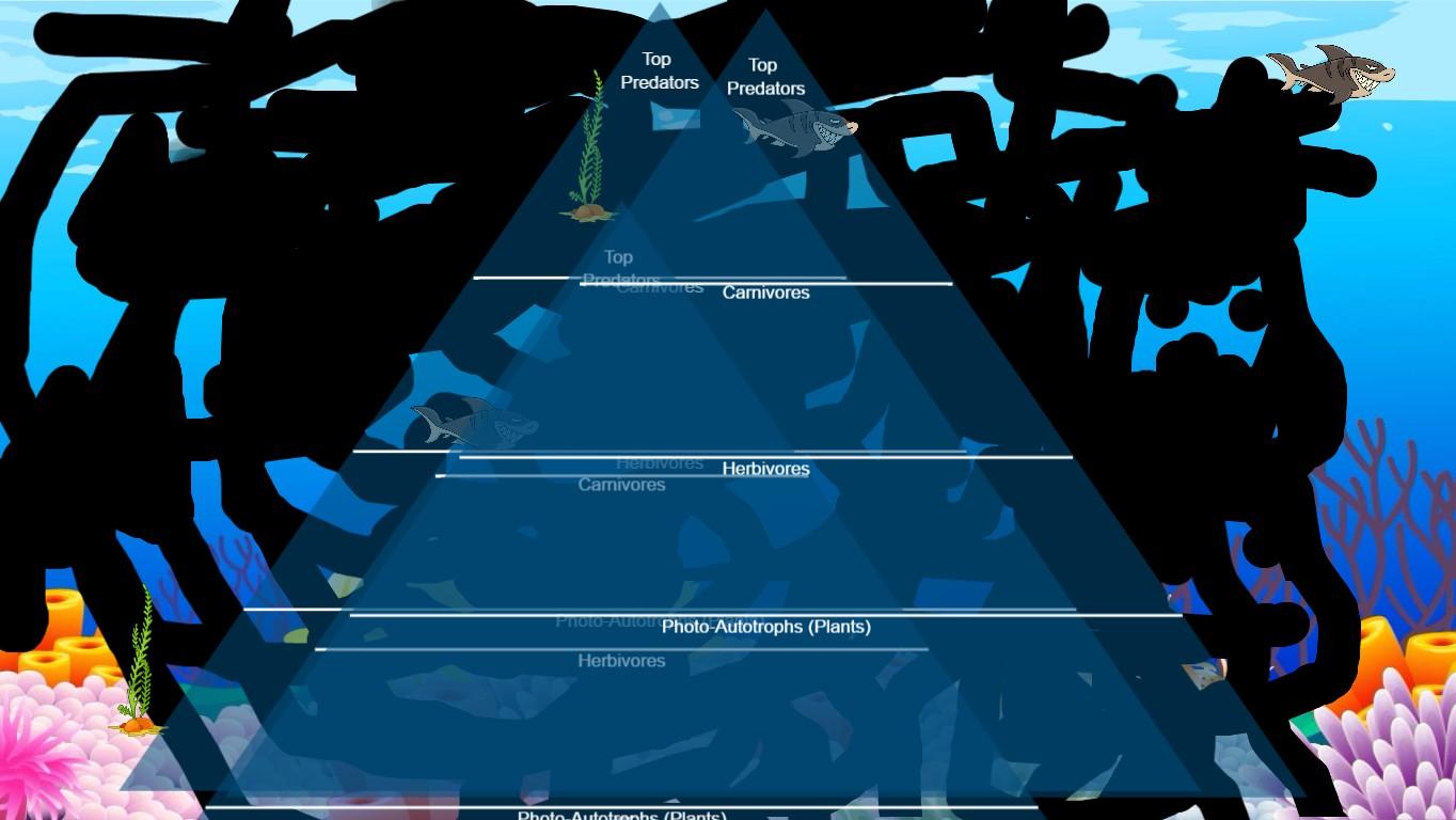 Ocean Ecological Pyramid