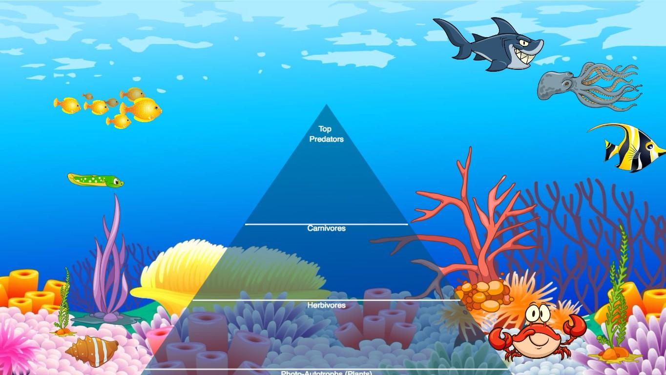 Ocean Ecological Pyramid