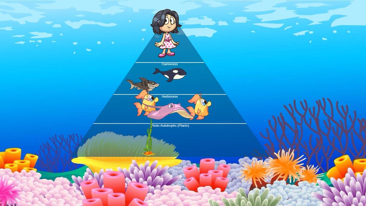 Ocean Ecological Pyramid