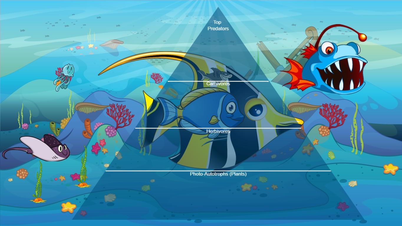 Ocean Ecological Pyramid