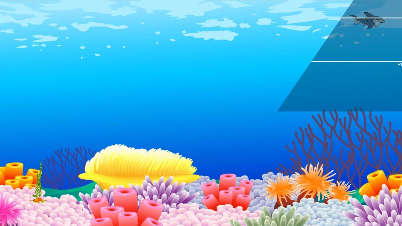 Ocean Ecological Pyramid