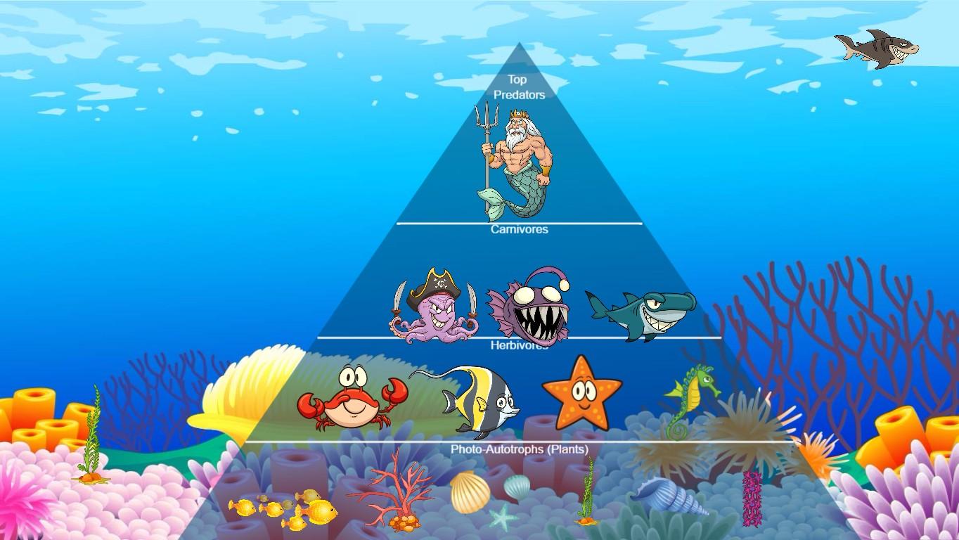 Ocean Ecological Pyramid