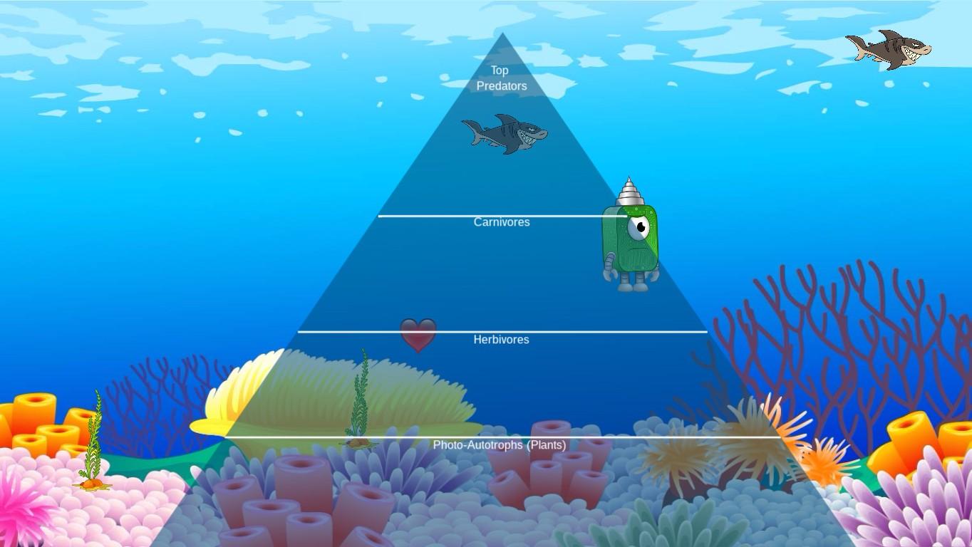 Ocean Ecological Pyramid