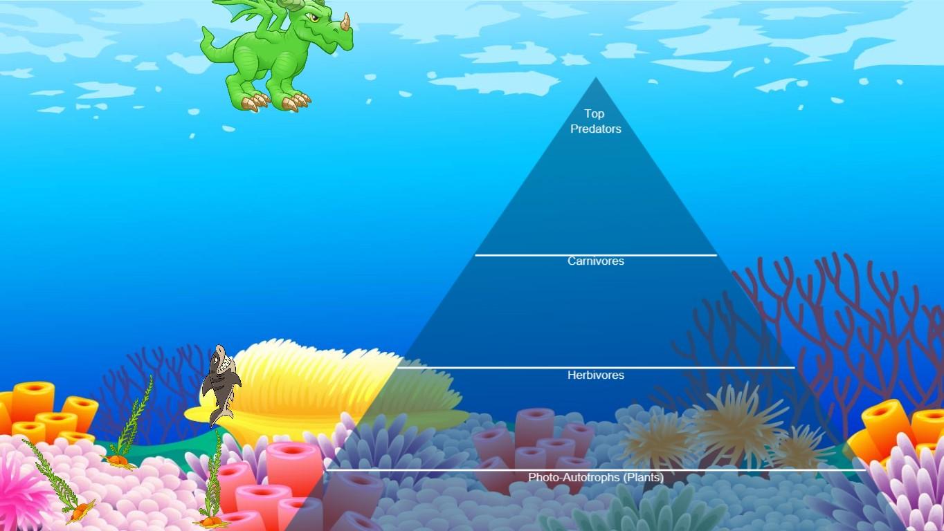 Ocean Ecological Pyramid