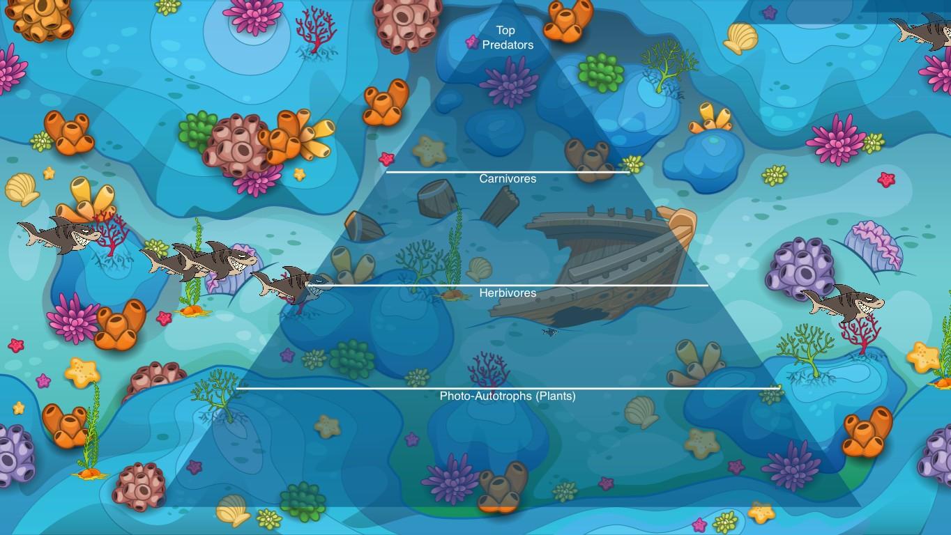 Ocean Ecological Pyramid