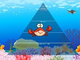 Ecological Pyramid 1