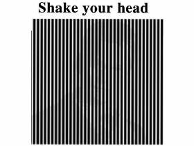 shake your head