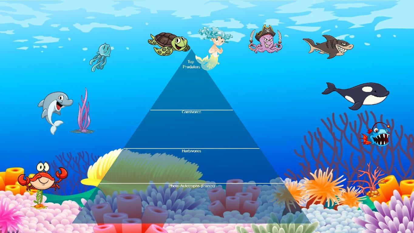 Ocean Ecological Pyramid