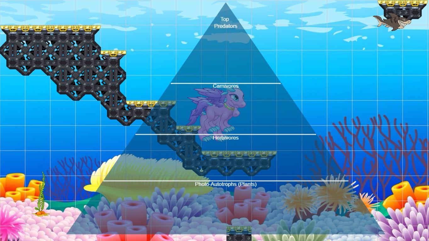 Ocean Ecological Pyramid