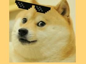 DOGE   1 1