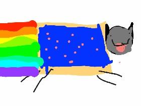 nyan cat