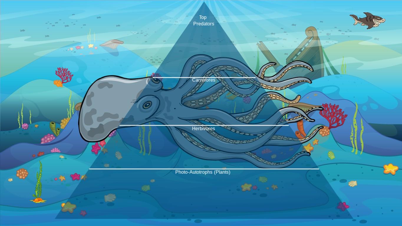 Ocean Ecological Pyramid