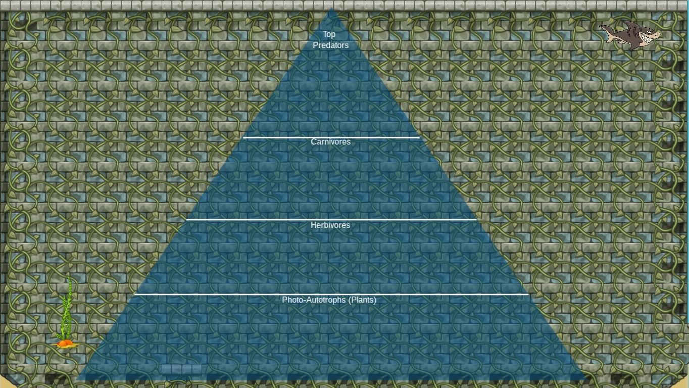 Ocean Ecological Pyramid