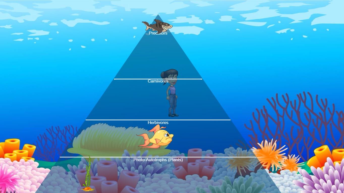 Ocean Ecological Pyramid