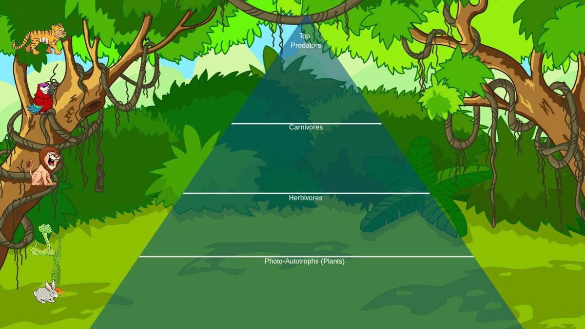 Ocean Ecological Pyramid