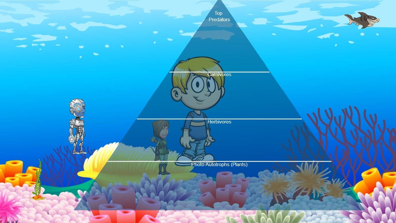 Ocean Ecological Pyramid