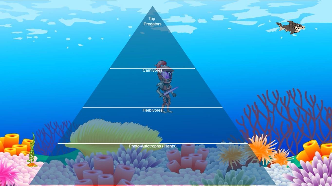 Ocean Ecological Pyramid