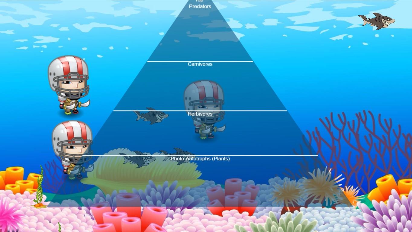 Ocean Ecological Pyramid