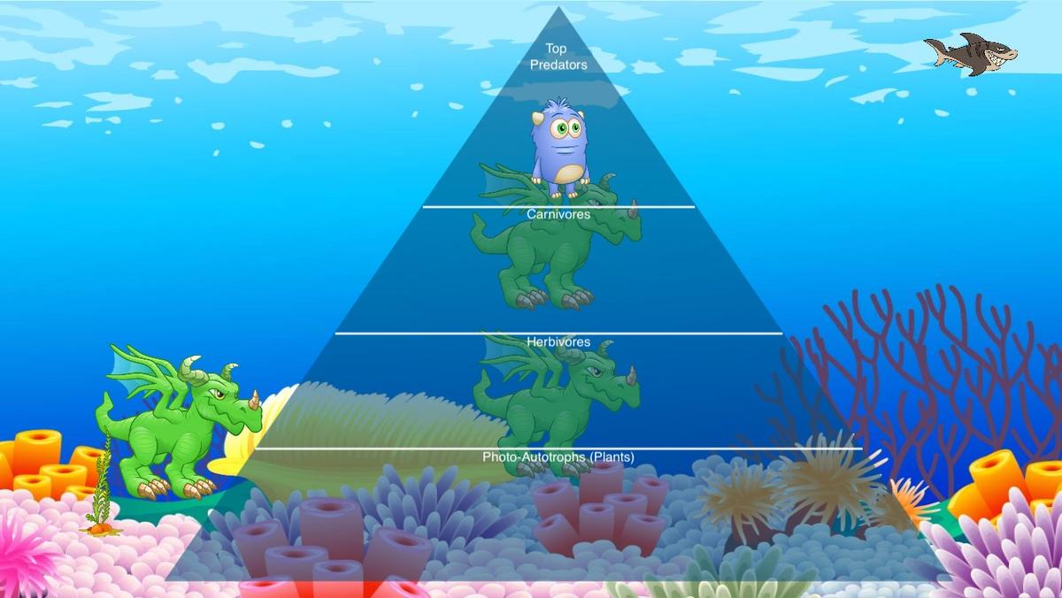 Ocean Ecological Pyramid